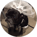 Carter Malouf profile picture